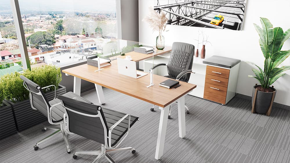 Mampara anticontagio